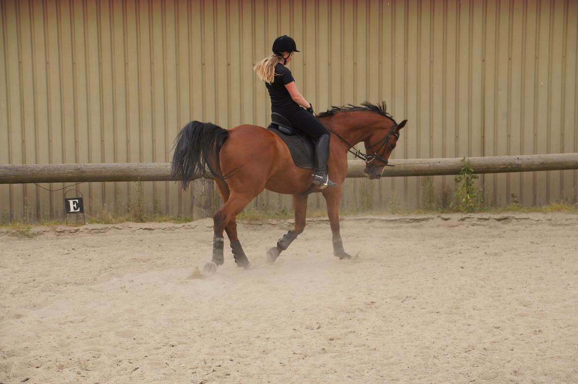 Landanos <3 billede 24