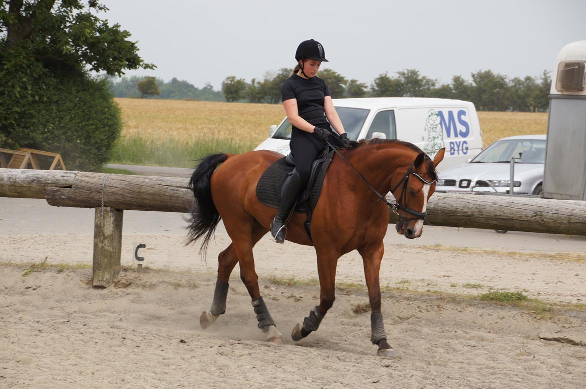 Landanos <3 billede 25