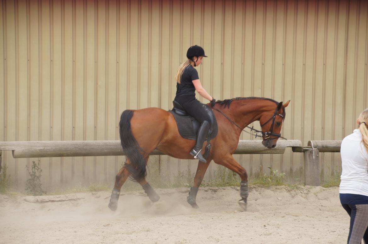 Landanos <3 billede 26