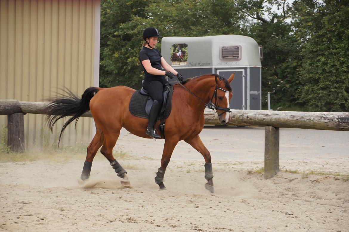 Landanos <3 billede 27