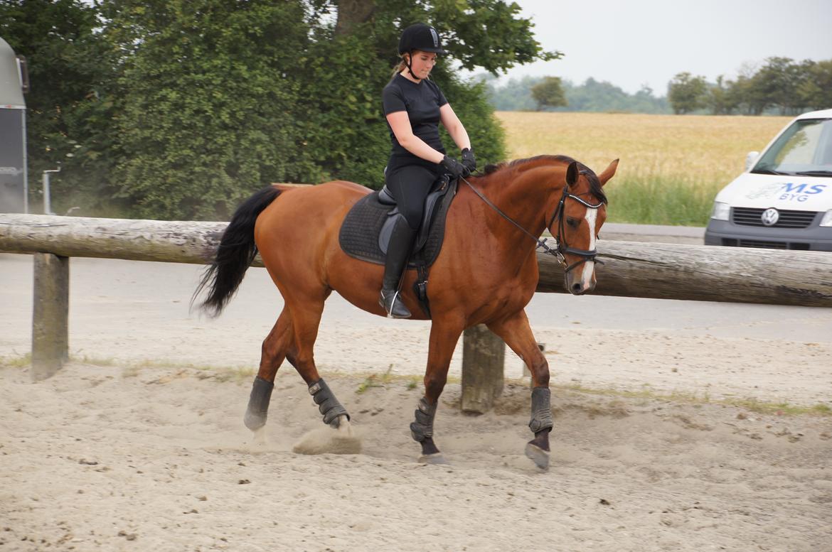 Landanos <3 billede 28