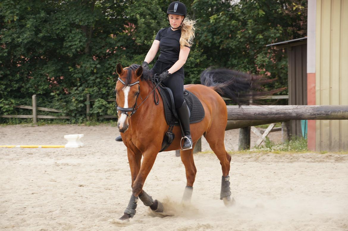 Landanos <3 billede 29