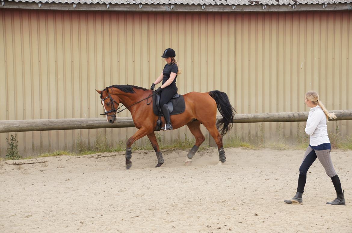 Landanos <3 billede 30