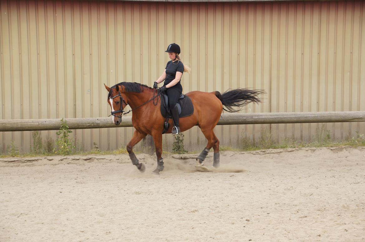 Landanos <3 billede 31