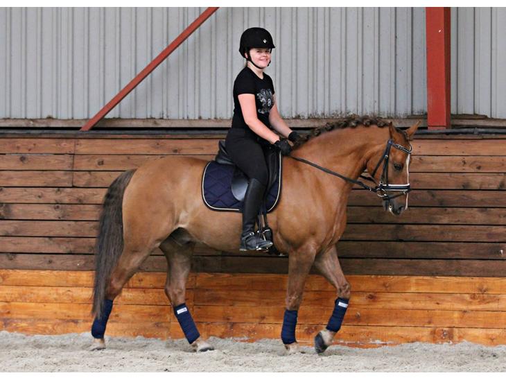 {{currentPhoto.altText}} billede {{currentPhoto.number}}