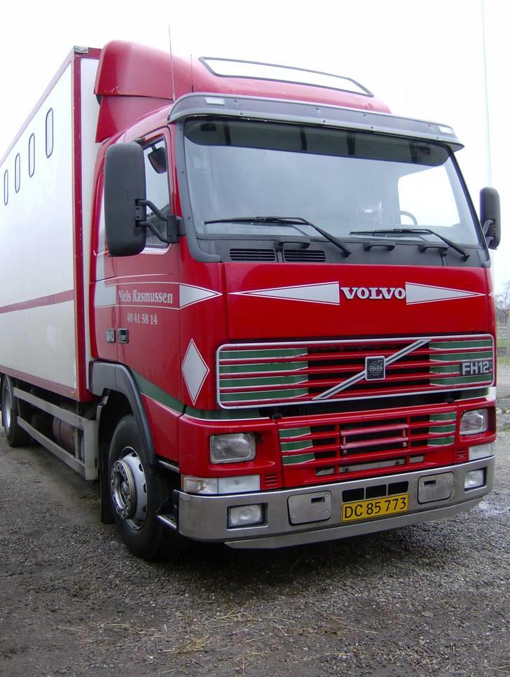 Lastbiler div. & Vores Hestetransporter - Lige blevet vasket igen igen.. billede 11