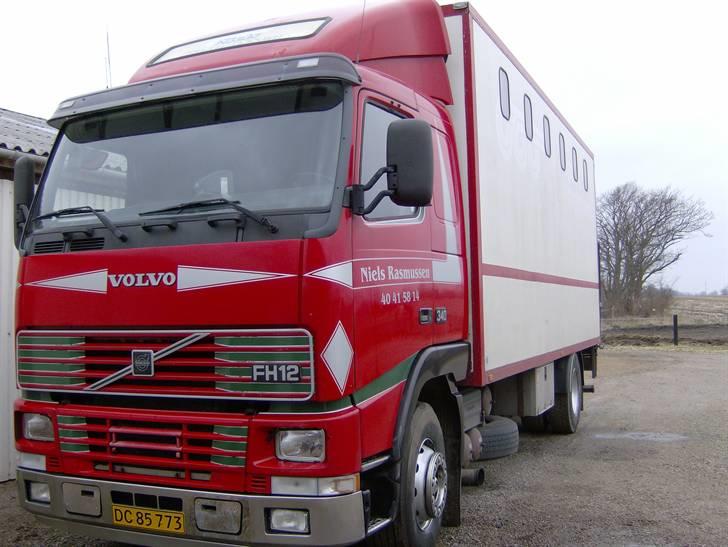 Lastbiler div. & Vores Hestetransporter billede 13