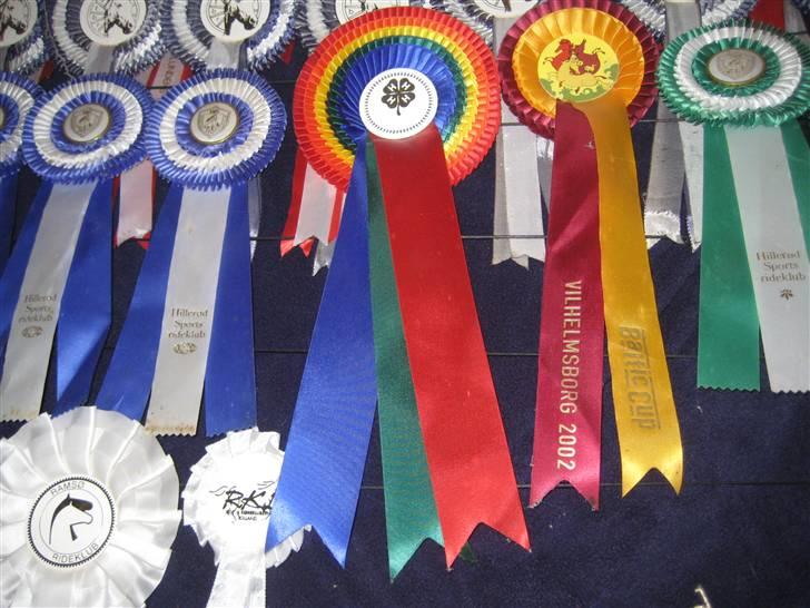 Mine rosetter - Min 4H roset, som jeg vandt da jeg vandt dyrskuet 2004 samt en deltager roset fra Baltic Cup fra 2002 billede 25