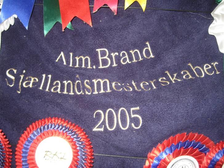 Mine rosetter - Dette dækken er et af mine bedste dækner, sammen med distriktmesterskabs dæknet. Det er fra sjællandsmesterskabet 2000 på Beauty Butterfly billede 26