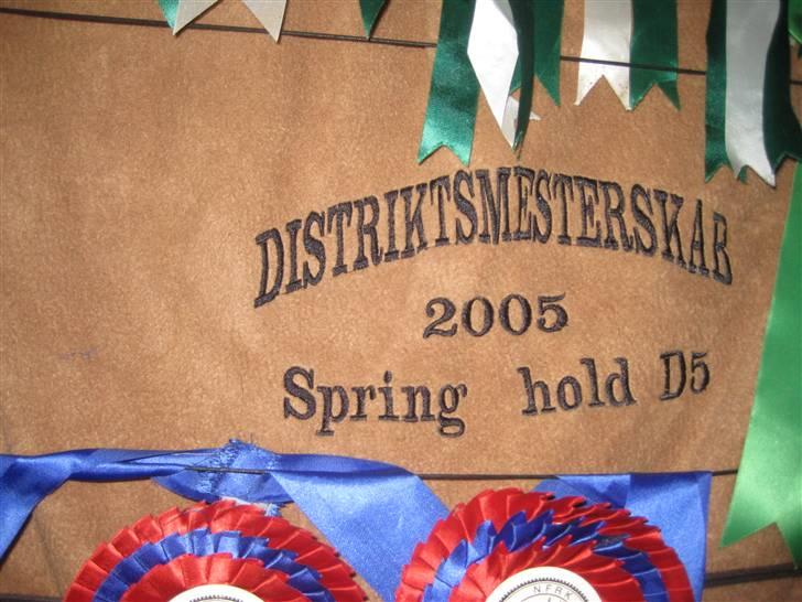 Mine rosetter - Et af mine dækner fra distriktmesterskaberne jeg har vundet. Det er fra hold 2005 billede 28