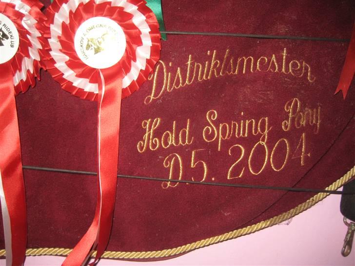 Mine rosetter - Et af mine dækner fra distriktmesterskaberne jeg har vundet. Det er fra hold 2004 billede 29
