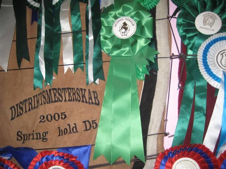 Mine rosetter - Nogle af mine ynglings rosetter :D Det er min roset fra Helsinge Rideklub billede 30