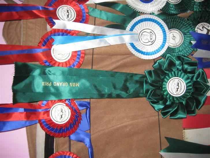 Mine rosetter billede 32