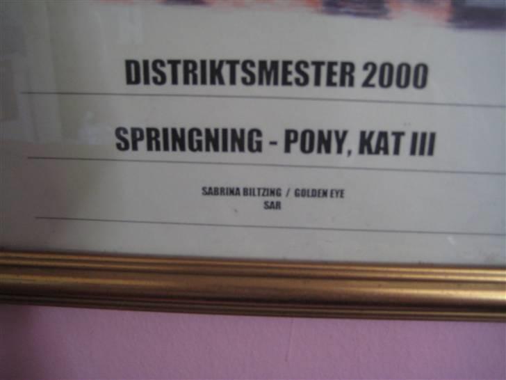 Mine rosetter - Billeder jeg fikaf distriktet, da jeg vandt mit første distriktmesterskab 2000 (Golden Eye) billede 33