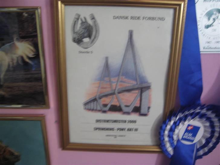 Mine rosetter - Billeder jeg fikaf distriktet, da jeg vandt mit første distriktmesterskab 2000 (Golden Eye) billede 34