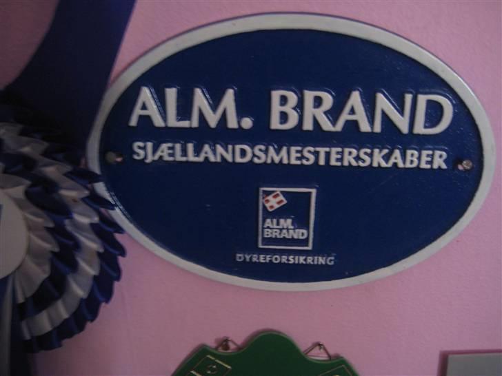 Mine rosetter - Plaquette fra sjællandsmesterskabet for hold 2005. Vi blev nr .1. Den er blå, da det er alm. Brand der har sponseret det (deres farver er blå og hvid) billede 35