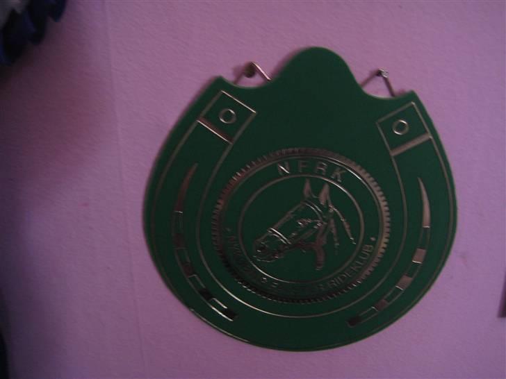 Mine rosetter billede 36