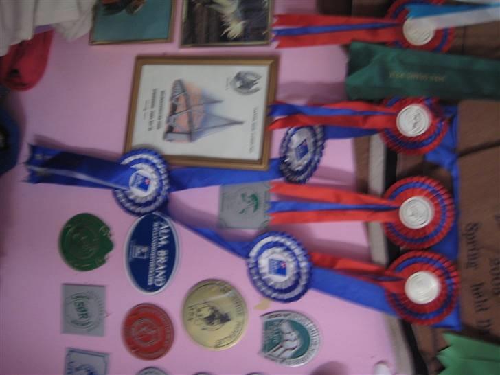 Mine rosetter billede 37