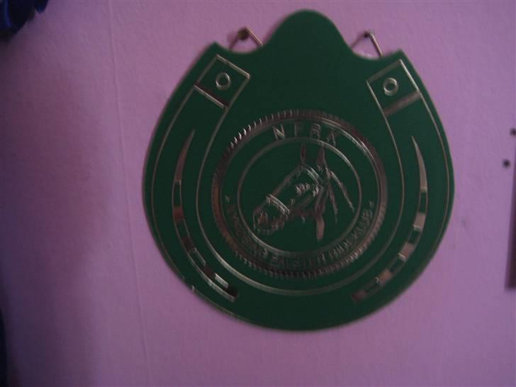 Mine rosetter - Nr. 3 i min første MA på kat. 2 pony i Nykøbing Rideklub billede 38