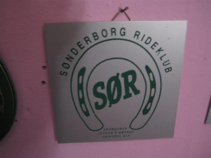 Mine rosetter - 3. plads til et landsstæve i Sønderborg billede 39