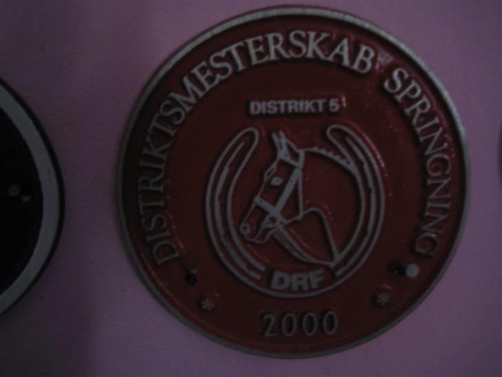 Mine rosetter - Plaquette fra mit første distriktmesterskab. Blev nr. 1 :D (Golden Eye) billede 40