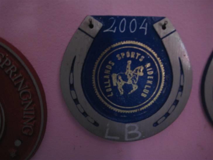 Mine rosetter - Vinder af (LSP) Lollands Sports Rideklub cup i LB 2004 billede 41