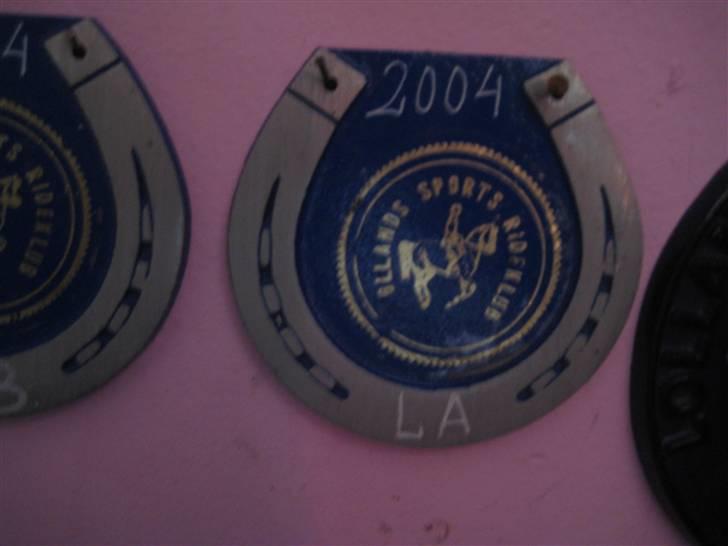 Mine rosetter - Vinder af (LSP) Lollands Sports Rideklub cup i LA 2004 billede 42
