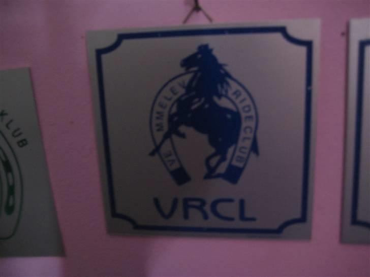 Mine rosetter - Plaquette fra Vemmelev Rideklub billede 43