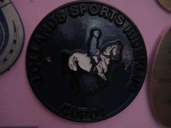 Mine rosetter - Samlet vinder af LSP (Lollands Sports Rideklub) 2004 billede 45