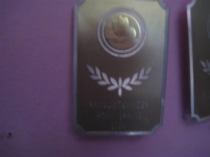 Mine rosetter - Ranglistevinder for pony 1999 billede 46