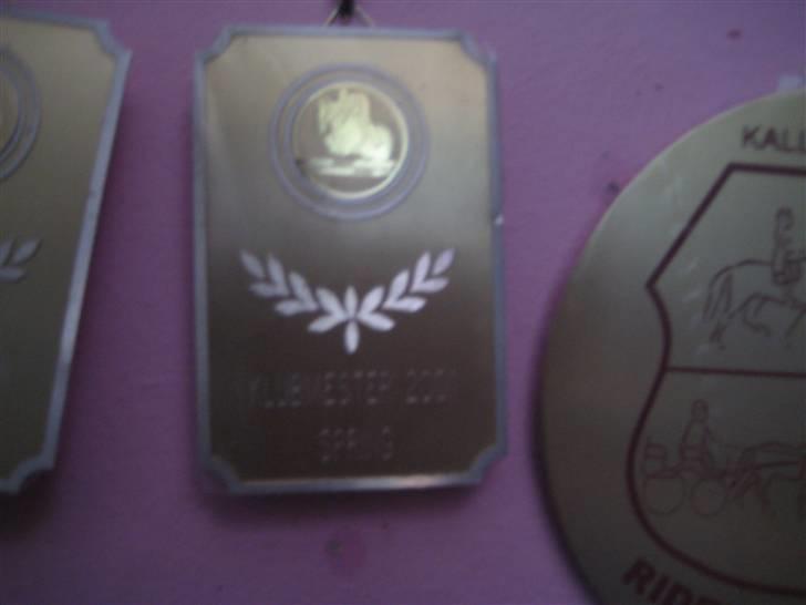 Mine rosetter - Klubmester (SAR) i Sakskøbing Rideklub 2004 billede 47