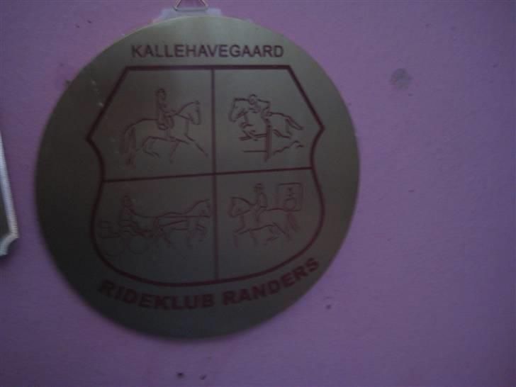 Mine rosetter - Plaquette fra Kaldehavegaard Rideklub Randers (HSK) billede 48