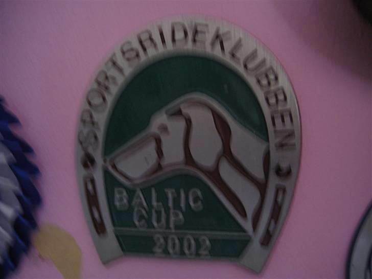Mine rosetter - Deltager plaquette fra Baltic Cup 2002 billede 49
