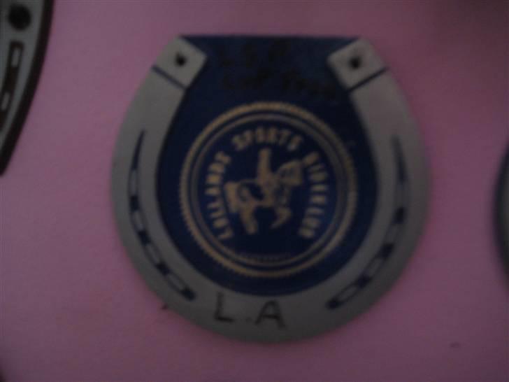 Mine rosetter - LSP (Lollands Sports Rideklub) cup 2002 vinder af LA billede 52