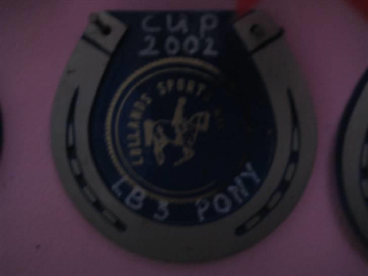 Mine rosetter - LSP (Lollands Sports Rideklub) cup 2002 vinder af LB billede 53