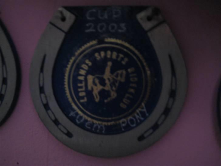 Mine rosetter - LSP (Lollands Sports Rideklub) cup 2003 vinder af 70 cm billede 54