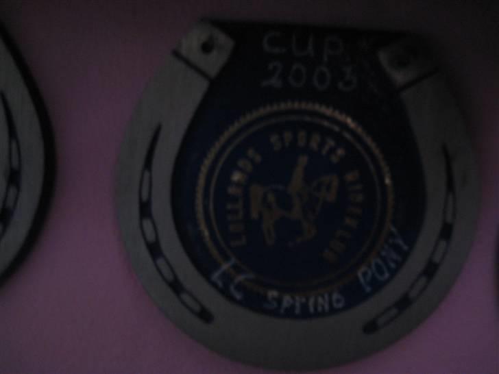 Mine rosetter - LSP (Lollands Sports Rideklub) cup 2003 vinder af LC billede 55