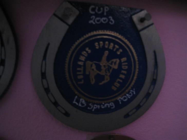 Mine rosetter - LSP (Lollands Sports Rideklub) cup 2003 vinder af LB billede 56