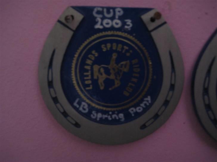 Mine rosetter - LSP (Lollands Sports Rideklub) cup 2003 vinder af LB billede 57