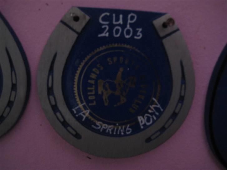 Mine rosetter - LSP (Lollands Sports Rideklub) cup 2003 vinder af LA billede 58