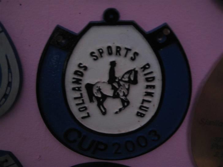 Mine rosetter - LSP (Lollands Sports Rideklub) cup 2003, samlet vinder billede 59
