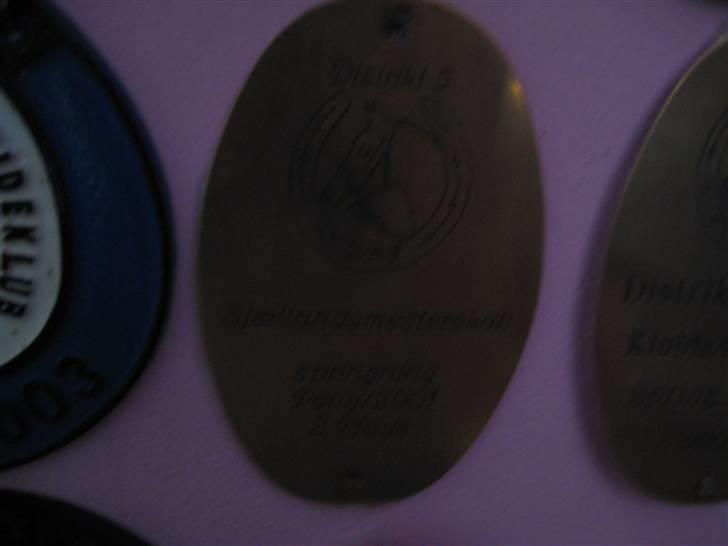 Mine rosetter - Sjællandsmesterskab nr. 2 år 2001 (Golden Desert Fighter) billede 60