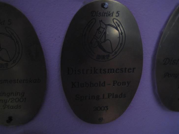 Mine rosetter - Distriktmesterskab for hold nr. 1 år 2003 billede 61