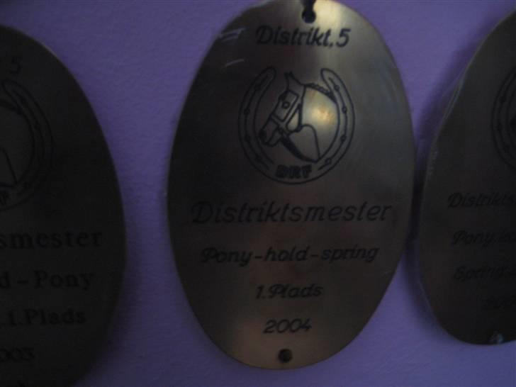 Mine rosetter - Distriktmesterskab for hold nr. 1 år 2004 (Beauty Butterfly) billede 62