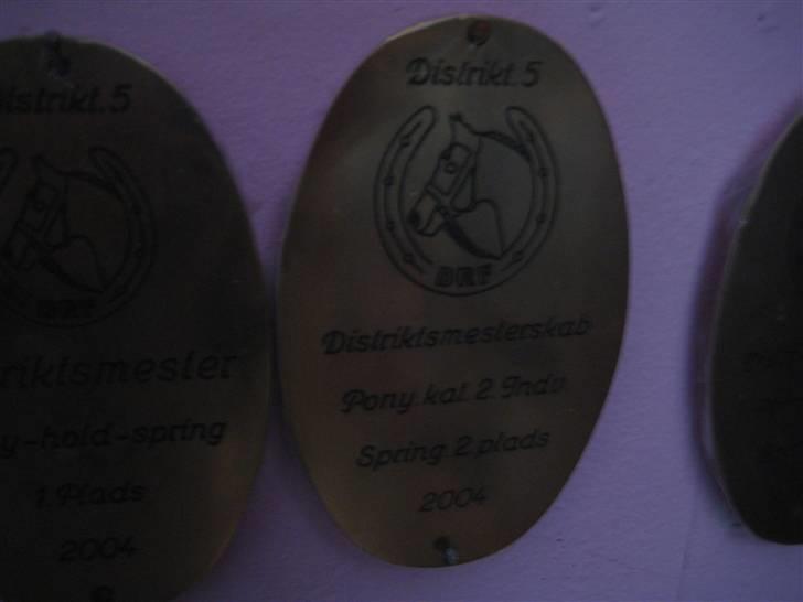 Mine rosetter - Distriktmesterskab nr. 2 år 2004 (Beauty Butterfly) billede 63