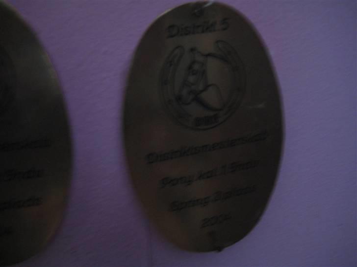 Mine rosetter - Distriktmesterskab nr. 2 år 2004 (Killfield) billede 64