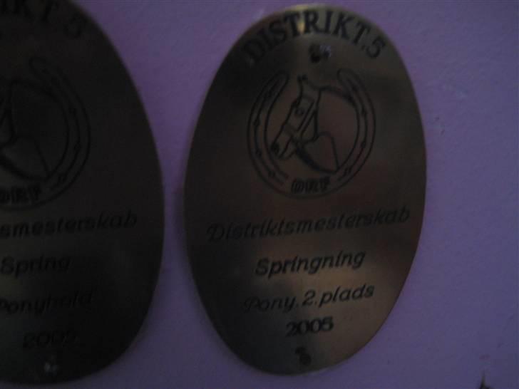 Mine rosetter - Distriktmesterskab nr. 2 år 2005 (Beauty Butterfly) billede 66