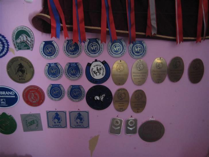 Mine rosetter - Mine plaquetter billede 67