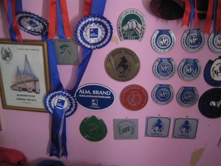 Mine rosetter - Mine plaquetter og bånd billede 68