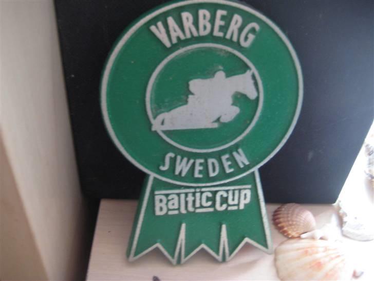Mine rosetter - Baltic Cup plaquette billede 69